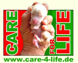 Care-4-life - Auslandstierschutz Türkei